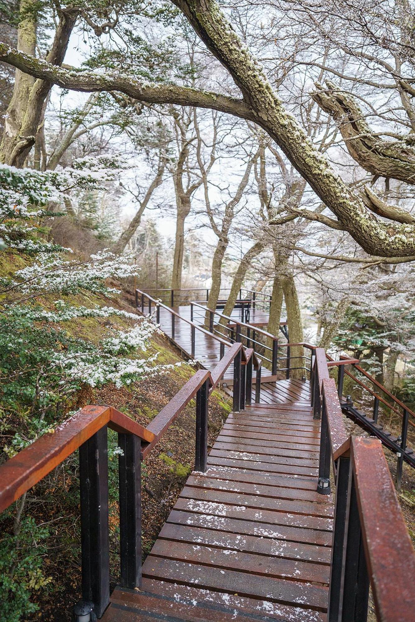 Los Nires Ushuaia Zewnętrze zdjęcie